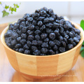 bulk dried blueberry